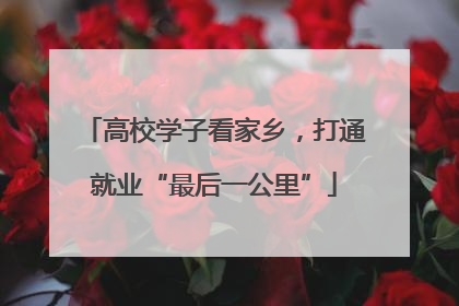 高校学子看家乡，打通就业“最后一公里”