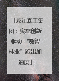 龙江森工集团：实施创新驱动 “数智林业”跑出加速度