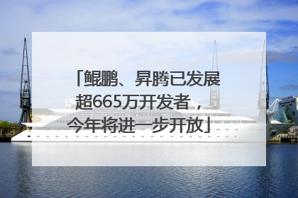 鲲鹏、昇腾已发展超665万开发者，今年将进一步开放