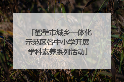 鹤壁市城乡一体化示范区各中小学开展学科素养系列活动