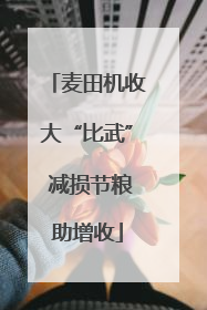 麦田机收大“比武” 减损节粮助增收