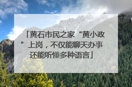 黄石市民之家“黄小政”上岗，不仅能聊天办事还能听懂多种语言