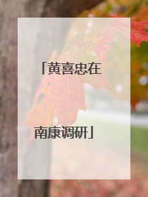 黄喜忠在南康调研