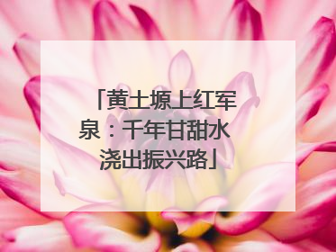 黄土塬上红军泉：千年甘甜水 浇出振兴路