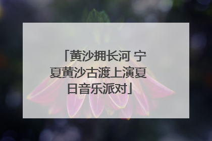 黄沙拥长河 宁夏黄沙古渡上演夏日音乐派对