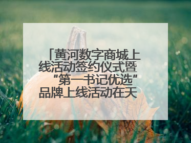 黄河数字商城上线活动签约仪式暨“第一书记优选”品牌上线活动在天桥区举行