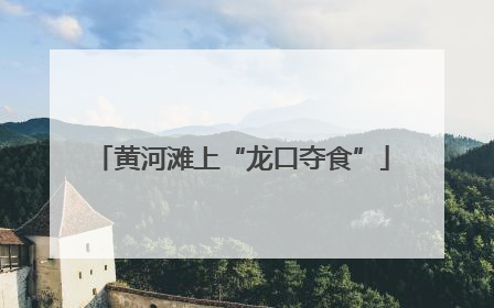 黄河滩上“龙口夺食”