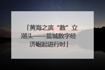 黄海之滨“数”立潮头——盐城数字经济崛起进行时