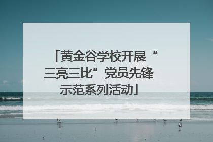 黄金谷学校开展“三亮三比”党员先锋示范系列活动