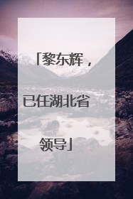 黎东辉，已任湖北省领导