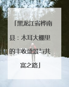 黑龙江省桦南县：木耳大棚里的丰收盛景与共富之路
