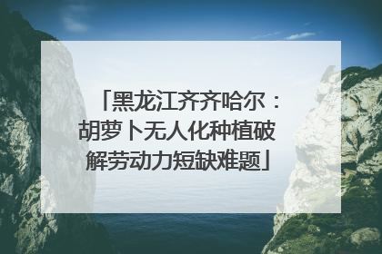 黑龙江齐齐哈尔：胡萝卜无人化种植破解劳动力短缺难题