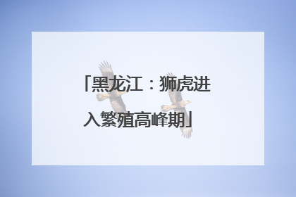 黑龙江：狮虎进入繁殖高峰期