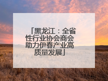 黑龙江：全省性行业协会商会助力伊春产业高质量发展