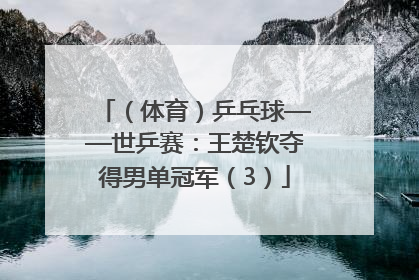 （体育）乒乓球——世乒赛：王楚钦夺得男单冠军（3）