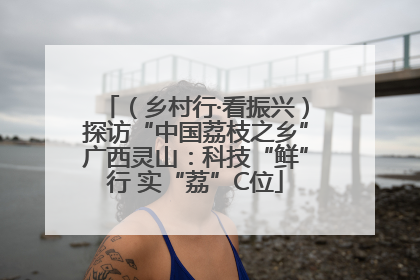 （乡村行·看振兴）探访“中国荔枝之乡”广西灵山：科技“鲜”行 实“荔”C位