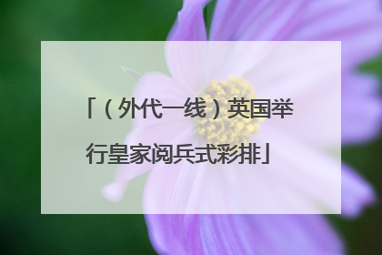 （外代一线）英国举行皇家阅兵式彩排