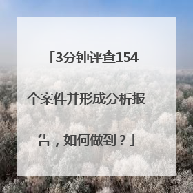 3分钟评查154个案件并形成分析报告，如何做到？