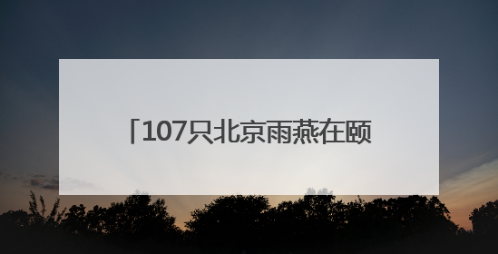 107只北京雨燕在颐和园完成年度“体检”