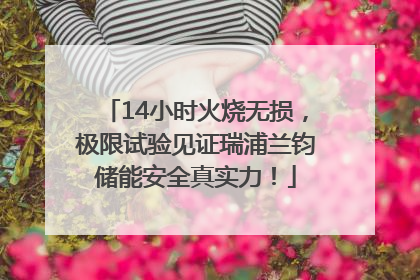 14小时火烧无损，极限试验见证瑞浦兰钧储能安全真实力！