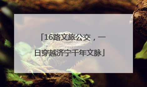 16路文旅公交，一日穿越济宁千年文脉