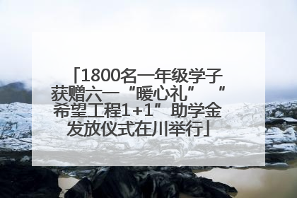 1800名一年级学子获赠六一“暖心礼” “希望工程1+1”助学金发放仪式在川举行