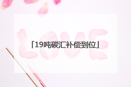 19吨碳汇补偿到位