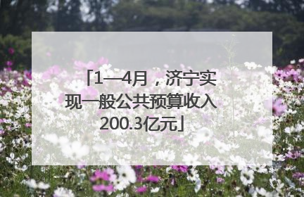 1—4月，济宁实现一般公共预算收入200.3亿元