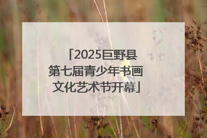 2025巨野县第七届青少年书画文化艺术节开幕