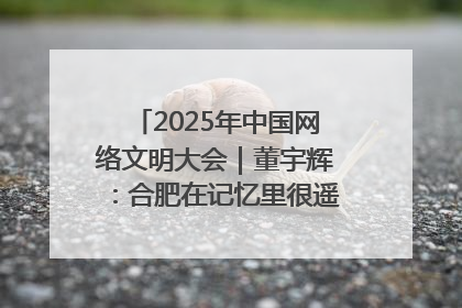 2025年中国网络文明大会｜董宇辉：合肥在记忆里很遥远也很亲切