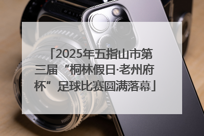 2025年五指山市第三届“桐林假日·老州府杯”足球比赛圆满落幕