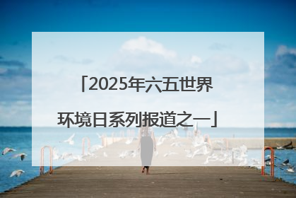2025年六五世界环境日系列报道之一