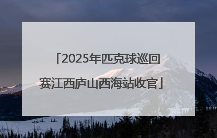 2025年匹克球巡回赛江西庐山西海站收官