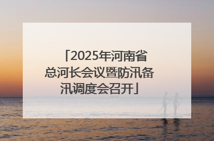 2025年河南省总河长会议暨防汛备汛调度会召开