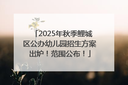 2025年秋季鲤城区公办幼儿园招生方案出炉！范围公布！