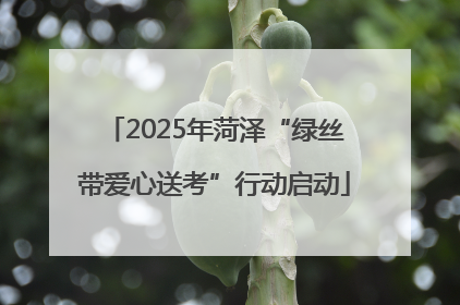 2025年菏泽“绿丝带爱心送考”行动启动
