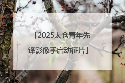 2025太仓青年先锋影像季启动征片