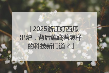2025浙江好西瓜出炉，背后蕴藏着怎样的科技新门道？