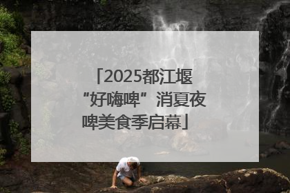 2025都江堰“好嗨啤”消夏夜啤美食季启幕