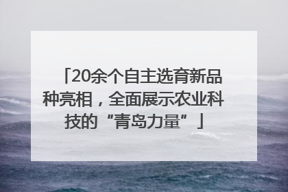 20余个自主选育新品种亮相，全面展示农业科技的“青岛力量”