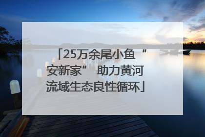 25万余尾小鱼“安新家” 助力黄河流域生态良性循环