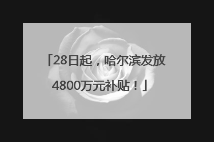 28日起，哈尔滨发放4800万元补贴！