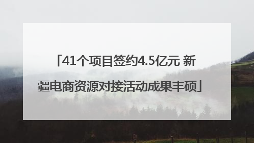 41个项目签约4.5亿元 新疆电商资源对接活动成果丰硕