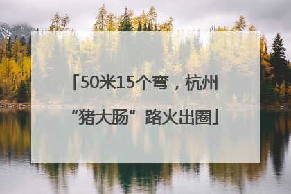 50米15个弯，杭州“猪大肠”路火出圈