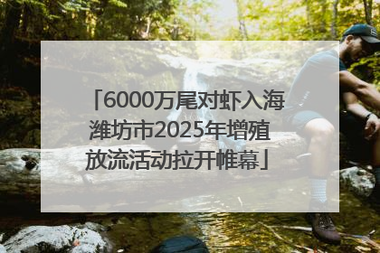 6000万尾对虾入海 潍坊市2025年增殖放流活动拉开帷幕