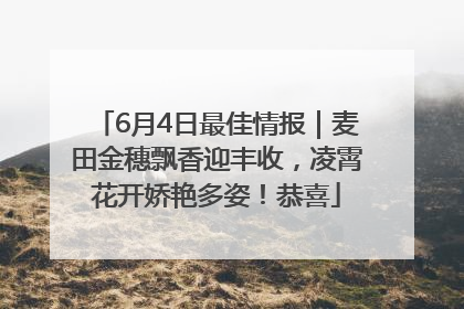 6月4日最佳情报｜麦田金穗飘香迎丰收，凌霄花开娇艳多姿！恭喜