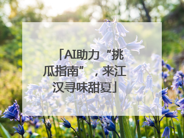 AI助力“挑瓜指南”，来江汉寻味甜夏