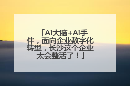 AI大脑+AI手伴，面向企业数字化转型，长沙这个企业太会整活了！