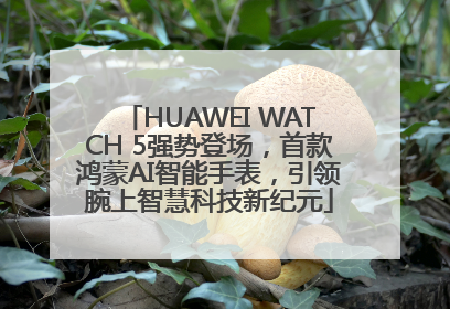 HUAWEI WATCH 5强势登场，首款鸿蒙AI智能手表，引领腕上智慧科技新纪元