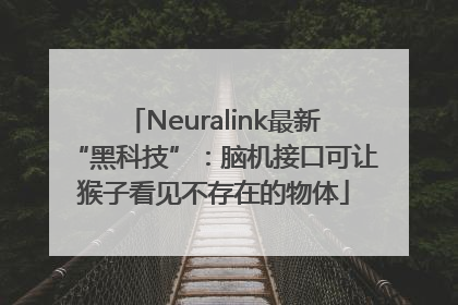 Neuralink最新“黑科技”：脑机接口可让猴子看见不存在的物体